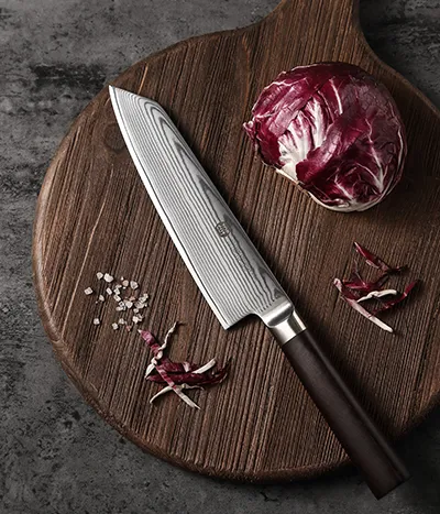 Kiritsuke Knife